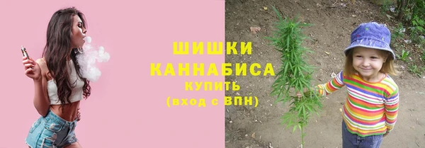 амф Новозыбков