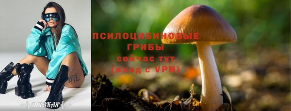марихуана Новокубанск