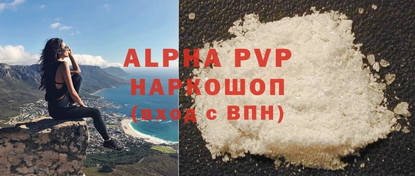 амф Новозыбков