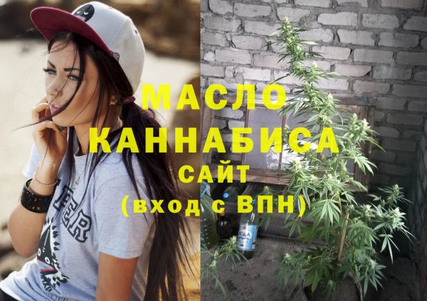 амф Новозыбков