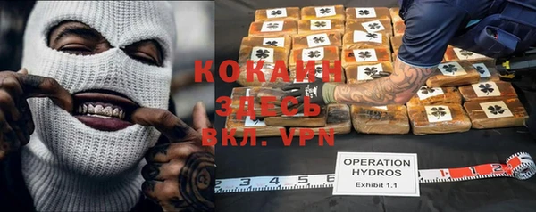 амф Новозыбков