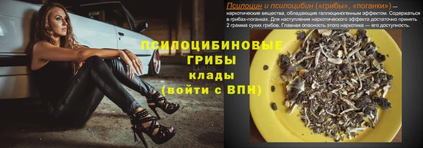 марихуана Новокубанск